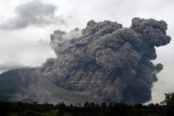 Material vulkanik disertai awan panas meluncur dari puncak Gunung Sinabung di Karo, Sumatera Utara, Kamis (25/6). Data Badan Geologi luncuran awan panas guguran kubah lava sejauh 4 km ke arah Tenggara-Timur, dengan ketinggian kolom abu vulkanik 5 Km, diharapkan kepada semua pihak untuk tetap waspada dan tidak memasuki daerah bahaya. ANTARA FOTO/Rony Muharrman/Asf/nz/15.