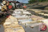 Harga karet turun, petani di Barut terpukul