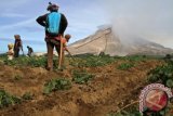 Letusan Gunung Sinabung berdampak cahaya matahari di Kutacane jadi tidak jelas