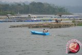 Nelayan Keramba Khawatirkan Surutnya Sungai Kahayan