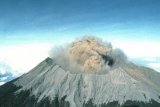 Lima bandara ditutup akibat abu vulkanik Raung 