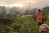 Rektor, mahasiswa, karyawan UMP padamkan kebakaran lahan gambut