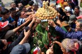 Warga berebut gunungan dalam rangka perayaan Grebeg Syawal di halaman Masjid Agung, Pasar Kliwon, Solo, Jawa Tengah, Minggu (19/7). Grebeg Syawal yang merupakan ritual tahunan Keraton Kasunanan Surakarta Hadiningrat itu mengeluarkan dua gunungan Jaler dan Estri sebagai wujud kedekatan Keraton Solo dengan masyarakat dan Masjid Agung. ANTARA FOTO/Maulana Surya/wdy/15.