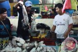 Seorang pedagang ikan eceran memikul ikan di pasar Pabean, Surabaya, Jawa Timur, Selasa (21/7). Aktivitas pasar ikan tersebut kembali normal setelah libur Lebaran. Antara Jatim/Andy Pinaria/zk/15. 
