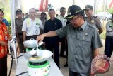 Bupati Balangan, H SEfek Effendie didampingi Government dan Media Relation Manager PT Adaro, Hikmatul Amin, saat melakukan uji keamanan penggunaan gas metan untuk memasak, Kamis (30/7) di areal TPA Desa Batu Merah, Kecamatan Lampihong, Balangan. PT Adaro memberikan bantuan percepatan pembangunan dan penambahan fasilitas TPA Batu Merah. Foto : Antaranews Kalsel/Roly Supriadi.
