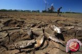 WMO : Suhu bumi turun jika terjadi La Lina 