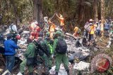 Tim SAR gabungan mencari korban kecelakaan pesawat Trigana di Kampung Oksob, Distrik Okbape, Kabupaten Pegunungan Bintang, Papua, Selasa (18/8). (ANTARA FOTO/STR)