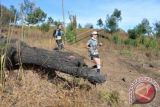 Dua peserta mengikuti Ijen Trail Running di Sempol, Bondowoso, Jawa Timur, Sabtu (22/8). Ijen Trail Running merupakan ajang lari internasional yang diikuti 222 peserta dari 15 negara dengan rute destinasi wisata sepanjang jalur seperti Kawah Wurung, Kawah Ijen, pemandian air panas, kebun kopi dan lokasi rafting. ANTARA FOTO/Seno/wdy/15.