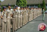 172 praja IPDN praktek lapangan di Minahasa Tenggara