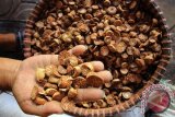 Seorang pekerja menunjukkan olahan biji pinang kering di Banyuwangi, Jawa Timur, Sabtu (29/8). Minimnya pasokan biji pinang dari petani saat memasuki akhir musim seperti saat ini menjadikan harga pinang yang akan dikirim ke Papua tersebut memgalami kenaikan harga dari Rp20 ribu menjadi Rp25 ribu per kilogram. Antara Jatim/ Budi Candra Setya/15.