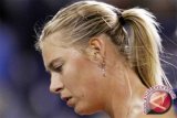 CAS Berikan Sanksi Dua Tahun, Sharapova Ajukan Banding