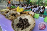 Ratusan siswa menggelar makan umbi-umbian bersama di SMAK Hikmah Mandala, Banyuwangi, Jawa Timur, Jumat (4/9). Kegiatan tersebut  bertujuan mengenalkan pola makan sehat serta membantu program pemerintah mewujudkan ketahanan pangan yang tidak bergantung pada beras dan gandum. Antara Jatim/Budi Candra Setya/15/zk.