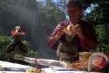 Sesepuh adat melakukan jamasan (siraman) patung Dewi Sri Dasono dan Dewa Joko Dasono yang menjadi simbol kesejahteraan sandang-pangan dalam sebuah tradisi adat Ulur-ulur di tepian Telaga Buret, Tulungagung, Jawa Timur, Jumat (4/9). Ritual ulur-ulur digelar masyarakat adat di empat desa sekitar Telaga Buret setiap tahunnya sebagai bentuk syukur atas keberadaan sumber air berbentuk telaga alami yang menjadi sumber pengairan bagi 450 hektare lebih lahan pertanian setempat. Antara Jatim/Foto Destyan Sujarwoko/15/Chan.