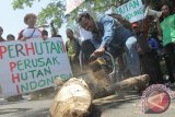 Salah satu massa dari Aliansi Masyarakat Pelindung Hutan dan Pelestari Mata Air Jawa Timur melakukan aksi simbolis penebangan pohon saat berunjuk rasa di depan kantor Perum Perhutani Unit 2 Surabaya, Jawa Timur, Selasa (8/9). Massa aksi menuntut segera dilakukan rehabilitasi terhadap kawasan hutan yang telah rusak agar fungsinya kembali normal. Antara Jatim/Didik Suhartono/zk/15