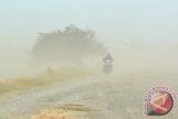 Seorang pengendara menerjang badai pasir di tanggul Porong Sidoarjo, Jawa Timur, Kamis (10/9). Angin kencang dengan kecepatan 20-30 kilometer perjam tersebut, akibat Elnino yakni terjadinya pergeseran pola tekanan regional yang berbeda dengan tekanan udara di Australia. Antara Jatim/Umarul Faruq/Zk/15