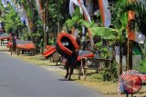 Warga Suku Osing menjemur kasur disepanjang jalan desa wisata kemiren, banyuwangi, jawa timur, kamis (17/9). Mepe kasur (menjemur kasur) yang berwarna merah dan hitam merupakan tradisi turun temurun agar terhidar dari penyakit yang dilakukan warga suku Osing setiap bulan besar (bulan haji). Antara Jatim/Budi Candra Setya/zk/15. 