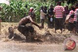 Sejumlah warga mandi lumpur di tengah lahan sawah di Tongas, Probolinggo, Jawa Timur, Senin (21/9). Tradisi mandi lumpur tersebut digelar dalam rangka musim tanam dan pengukuhan kelompok tani di daerah tersebut. Antara Jatim/Moch Asim/zk/15