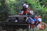 Puluhan siswa sekolah dasar berangkat ke sekolah menaiki mobil angkut di Jayengan, Banyuwangi, Jawa Timur, Selasa(22/9). Mobil tersebut menjadi alat transportasi sekolah di pedalaman lereng Gunung Raung yang mengangkut sebanyak 36 siswa dan melintasi jalan sulit yang berjarak sekitar 2 kilometer. Antara Jatim/ Budi Candra Setya/zk/15.