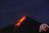 Gunung Karangetang masih meluncurkan lava pijar