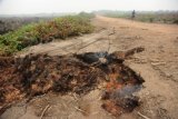 Seorang pengendara sepeda melewati jalan yang terbakar dan mengeluarkan asap di kawasan perkebunan sawit Patok 50, Desa Rasau Jaya Umum, Kecamatan Rasau Jaya, Kabupaten Kubu Raya, Kalbar, Rabu (23/4). Kebakaran yang menghanguskan puluhan hektar perkebunan sawit di kawasan tersebut menyisakan api yang sampai saat ini masih membakar lahan gambut kering yang berada di bagian bawah jalan sehingga mengakibatkan badan jalan amblas. ANTARA FOTO/Jessica Helena Wuysang/kye/15