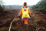 Seorang petugas Manggala Agni Daerah Operasi (Daops) Singkawang membawa alat pemadaman api, di lokasi kebakaran lahan di Desa Teluk Empening, Kecamatan Terentang, Kabupaten Kubu Raya, Kalbar, Jumat (25/9). Kepala Regu Manggala Agni Daops Singkawang, Adrianus Apen menyatakan pihaknya meminta pemerintah pusat untuk memberikan jaminan kesehatan bagi para petugas Manggala Agni, yang hingga saat ini masih merupakan tenaga kontrak per tahun yang bertugas memadamkan kebakaran hutan dan lahan. ANTARA FOTO/Jessica Helena Wuysang/ama/15