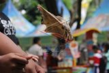 Seekor Sugar Glider melompat ke arah pemiliknya saat mengikuti lomba Sugar Glider to Owner di Taman Safari Indonesia 2, Pasuruan, Jawa Timur, Minggu (27/9). Kegiatan tersebut dalam rangka Pet's Daya 2015 yang sekaligus menjadi ajang berkumpul dan menjalin silaturahim di antara pecinta satwa. ANTARA FOTO/Moch Asim/pd/15
