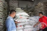 Petugas memeriksa gula impor selundupan hasil tangkapan di gudang Bea dan Cukai, di Banda Aceh, Jumat (2/10). Petugas gabungan berhasil mengamankan gula impor ilegal sebanyak 120 sak atau enam ton yang diselundupkan melalui kapal nelayan dari kawasan Free Port Sabang ke daratan Aceh Besar. ANTARA FOTO/Ampelsa/pras/15