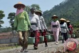 Sejumlah pekerja perempuan membawa ember berisi air pada pembangunan betonisasi jalan melalui program padat karya di Desa Malebo, Kandangan, Temanggung, Jateng, Selasa (6/10). Para pekerja wanita yang merupakan buruh tani tersebut mengaku sangat terbantu dengan mengikuti program padat karya, karena sejak beberapa bulan terakhir kegiatan pertanian terhenti akibat kekurangan pasokan air selama musim kemarau, setiap hari mereka mendapat upah Rp45 ribu per orang. ANTARA FOTO/Anis Efizudin/wdy/15