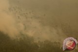Kebakaran lahan di OKI