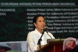 Menteri Badan Usaha Milik Negara (BUMN) Rini Soemarno membuka rapat kerja nasional Gabungan Asosiasi Petani Perkebunan Indonesia, di Hotel Utami, Sidoarjo, Jawa Timur, Kamis (22/10). Dalam kunjungan kerja tersebut, Menteri Badan Usaha Milik Negara (BUMN) meminta Asosiasi Petani Perkebunan Indonesia mengembangkan riset dan development bibit komunitas perkebunan dan meningkatkan Sumber Daya Alam. ANTARA FOTO/Umarul Faruq/15