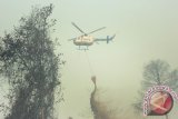 Helikopter Bolkow BO-105 dari Badan Nasional Penanggulangan Bencana (BNPB) melakukan water bombing di atas lahan gambut yang terbakar, di perkebunan sawit di Kecamatan Terentang, Kabupaten Kubu Raya, Kalbar, Rabu (21/10). Pemprov Kalbar bersama BNPB melaksanakan operasi pemadaman api dengan menggunakan Helikopter Bolkow BO-105 untuk menjatuhkan bom air (water bombing) guna memadamkan 154 titik api akibat kebakaran lahan yang terjadi di Kabupaten Kubu Raya, Kayong Utara dan Ketapang. ANTARA FOTO/Jessica Helena Wuysang/15