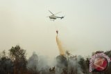 Helikopter Bolkow BO-105 dari Badan Nasional Penanggulangan Bencana (BNPB) melakukan water bombing di atas lahan gambut yang terbakar, di perkebunan sawit di Kecamatan Terentang, Kabupaten Kubu Raya, Kalbar, Rabu (21/10). Pemprov Kalbar bersama BNPB melaksanakan operasi pemadaman api dengan menggunakan Helikopter Bolkow BO-105 untuk menjatuhkan bom air (water bombing) guna memadamkan 154 titik api akibat kebakaran lahan yang terjadi di Kabupaten Kubu Raya, Kayong Utara dan Ketapang. ANTARA FOTO/Jessica Helena Wuysang/15
