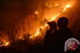 Warga memotret api yang membakar kawasan hutan di lereng Gunung Wilis terlihat dari Desa Kresek, Kec. Wungu, Kabupaten, Madiun, Jumat (23/10) malam. Kebakaran di kawasan Gunung Wilis terjadi sejak beberapa hari di sejumlah lokasi menimbulkan asap yang cukup mengganggu warga. Antara Jatim/Siswowidodo/zk/15

