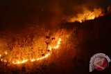 Api membakar kawasan hutan di lereng Gunung Wilis terlihat dari Desa Kresek, Kec. Wungu, Kabupaten, Madiun, Jumat (23/10) malam. Kebakaran di kawasan Gunung Wilis terjadi sejak beberapa hari di sejumlah lokasi menimbulkan asap yang cukup mengganggu warga. Antara Jatim/Siswowidodo/zk/15