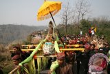 Seorang pemudi ditandu pada prosesi ritual sesaji menuju lereng gunung Kelud di Desa Sugihwaras, Kabupaten Kediri, Jawa Timur, Sabtu (24/10). Ritual sesaji yang dilaksanakan setahun sekali pada bulan Suro (penanggalan Jawa) tersebut sebagai simbolisasi perwujutan rasa syukur terhadap keberadaan Gunung Kelud yang memberikan kesuburan dan kemakmuran bagi masyarakat sekitar. Antara Jatim/Prasetia Fauzani/zk/15