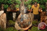 Pengunjung mengamati fosil batu pada Pameran Fosil Batu Langka di Medan, Sumatera Utara, Jumat (30/10). Pameran tersebut menampilkan 34 fosil batu asal sejumlah daerah di Indonesia dari kolektor Benstone Galleria. (ANTARA FOTO/Irsan Mulyadi)