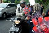 Sejumlah mahasiswa Sekolah Tinggi Ilmu Pendidikan Dan Keguruan membagikan bunga kepada pengendara di depan Taman Makam Pahlawan (TMP) Sidoarjo, Jawa Timur, Selasa (10/11). Bagi bunga tersebut dalam rangka memperingati Hari Pahlawan di Taman Makam Pahlawan Sidoarjo. Antara Jatim/Umarul Faruq/zk/15
