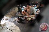 Perajin melayani pesanan alat seni jaran kepang atau kuda lumping berbahan bambu di Tulungagung, Jawa Timur, Selasa (17/11). Kerajinan kuda lumping khusus untuk kesenian jaranan tersebut dijual seharga Rp200 ribu dan Rp300 ribu dengan pemasaran ke beberapa kota di Jatim, Kalimantan dan Sumatera. Antara Jatim/Foto/Destyan Sujarwoko/15