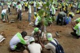 Pelajar yang terpilih menjadi Duta Peduli Rimba Aceh bersama warga menanam pohon pada peringatan Hari Menanam Pohon Indonesia dan Bulan Menanam Nasional di kawasan pelabuhan perikanan Lampulo, Banda Aceh, Kamis (19/11). Gerakan menanam pohon yang dicanangkan di kawasan pantai itu ditujukan untuk penghijauan terutama kawasan pesisir yang masih gersang akibat kerusakan tsunami lalu. ANTARA FOTO/Ampelsa/foc/15.