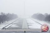 Tiga Orang Tewas, 185.000 Tanpa Penerangan Pascabadai di Washington