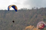 Seorang atlet paralayang melakukan tandem (terbang berdua) dalam fun flying 'Ijen Flying Festival 2015' di Kecamatan Sempol, Bondowoso, Jawa Timur, Minggu (29/11). Dalam penutupan paralayang tersebut, pengunjung bisa tandem dengan menikmati keindahan alam Kawah Ijen, Kawah Wurung, hamparan kebun kopi, Gunung Raung dari atas dengan biaya Rp400.000/orang dengan waktu sekitar 15 - 20 menit. Antara Jatim/Seno/zk/15.