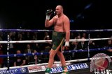 Tyson Fury Juara Dunia Tinju Kelas Berat yang Baru