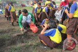 Wali Kota Kediri Abdullah Abu Bakar bersama sejumlah sekolah dasar membersihkan bantaran Sungai Brantas di Kediri, Jawa Timur, Jumat (27/11). Pemkot Kediri berencana menjadikan bantaran sungai itu menjadi lokasi sarana olahraga dan rekreasi bagi masyarakat setempat. Antara Jatim/Asmaul Chusna/zk/15