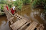 Dua murid sekolah dasar berhati-hati melewati jembatan rusak yang menghubungkan kelurahan Kurao Pagang dengan Dadok, di Padang, Sumatera Barat, Kamis (3/12). Setiap hari anak-anak harus melewati jembatan itu untuk pergi ke sekolah karena jalan lain memutar lebih jauh. ANTARA FOTO/Iggoy el Fitra/pd/15