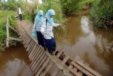 Pelajar SMP berhati-hati melewati jembatan rusak yang menghubungkan kelurahan Kurao Pagang dengan Dadok, di Padang, Sumatera Barat, Kamis (3/12). Setiap hari anak-anak harus melewati jembatan itu untuk pergi ke sekolah karena jalan lain memutar lebih jauh. ANTARA FOTO/Iggoy el Fitra/pd/15