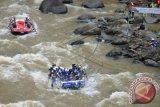 Tim putra Rusia beradu kecepatan dengan Tim Argentina saat Kejuaraan Dunia Arung Jeram kategori Head to Head di Sungai Citarik, Sukabumi, Jawa Barat, Jumat (4/12). Sebanyak 23 negara mengikuti Kejuaraan Arung Jeram Dunia (World Rafting Championship) ke-15 yang digelar di Sungai Citarik, Sukabumi. (ANTARA FOTO/Hafidz Mubarak A)