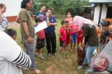 Sejumlah warga menyaksikan petugas medis dari Yayasan Inisiasi Alam Rehabilitasi Indonesia (YIARI) Ketapang membujuk Bayi Orangutan saat proses evakuasi di Desa Randau Jekak, Kecamatan Simpang Hulu, Kabupaten Ketapang, Kalbar, Kamis (17/12). Bayi Orangutan bernama Paini tersebut, dibeli oleh warga setempat dari seorang pemburu di kawasan Sendai seharga Rp500 ribu dan kemudian diserahkan ke YIARI Ketapang untuk direhabilitasi. ANTARA FOTO/HUMAS YIARI-HERIBERTUS/jhw/15 