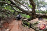 Pohon tumbang menutup jalan Desa Sendangbaru, Sendang Agung, Lampung Tengah, Provinsi Lampung, Selasa (1/12/15). Meski musibah itu sudah sekitar seminggu akibat misim hujan, namun belum ada upaya normalisasi, sehingga warga membuat jalan pintas untuk bisa dilewati pejalan kaki dan sepeda motor. (ANTARA FOTO/M.Tohamaksun).