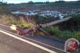 Puluhan tiang listrik tumbang diduga terkena sambaran petir di Desa Rantau Panjang Pagatan Kabupaten Tanah Bumbu, Rabu (23/12) petang. Sementara ini petugas tengah melakukan pembenahan tiang dan kabel listrik yang jatuh ke badan jalan sehingga menyebabkan kemacetan pada ruas jalan Banjarmasin dan Batulicin. Lokasi sekitar kejadian dipastikan mengalami pemadaman listrik hingga selesainya perbaikan jaringan. Foto Antaranews Kalsel/A.Hakim.M