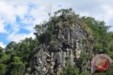 Upacara Kematian Adat Toraja